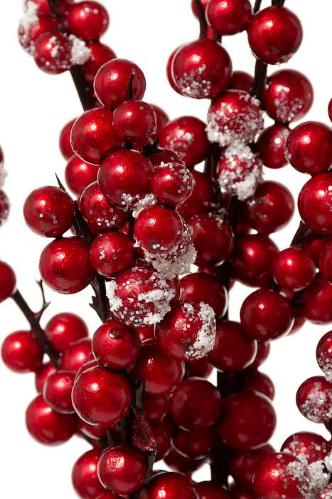 28" Snow Crusted Metal Berry Cluster Spray Red