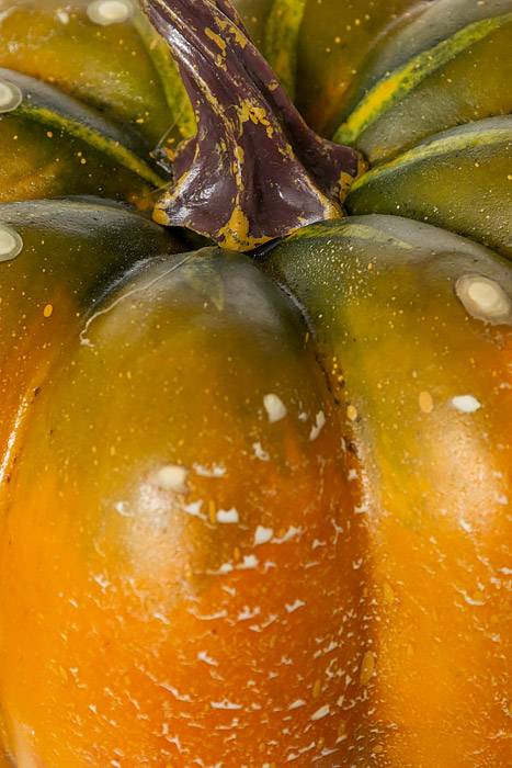 3.25"x 4.5" Weighted Pumpkin Orange/green