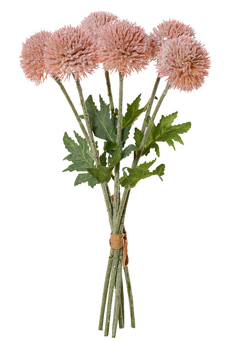 15.25" Globe Thistle Bundle Peach