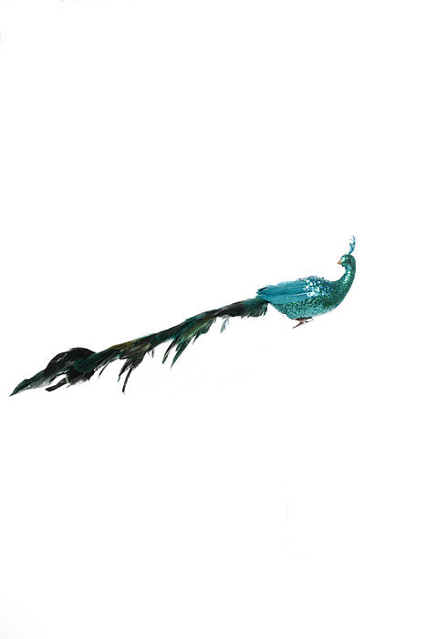 22" Long Tail Feather Glitter Phoenix Teal