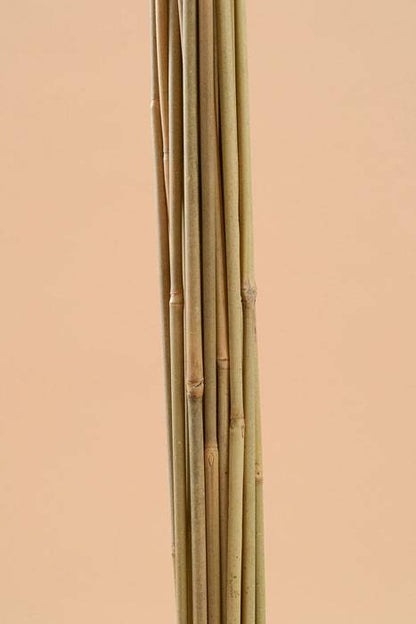 2.5ft Bamboo Stake Natural Pkg/25