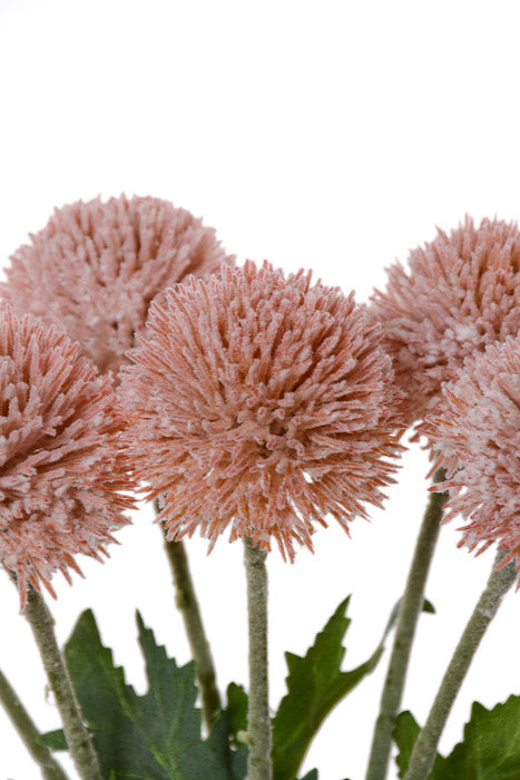 15.25" Globe Thistle Bundle Peach