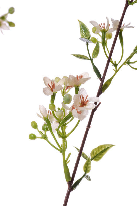 40&quot; Silk Wax Flower Spray Cream