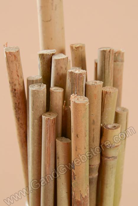 2.5ft Bamboo Stake Natural Pkg/25