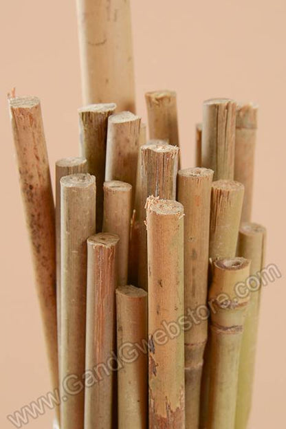 2.5ft Bamboo Stake Natural Pkg/25
