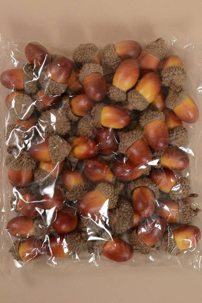1" Acorn W/natural Top Light Brown Pkg/50