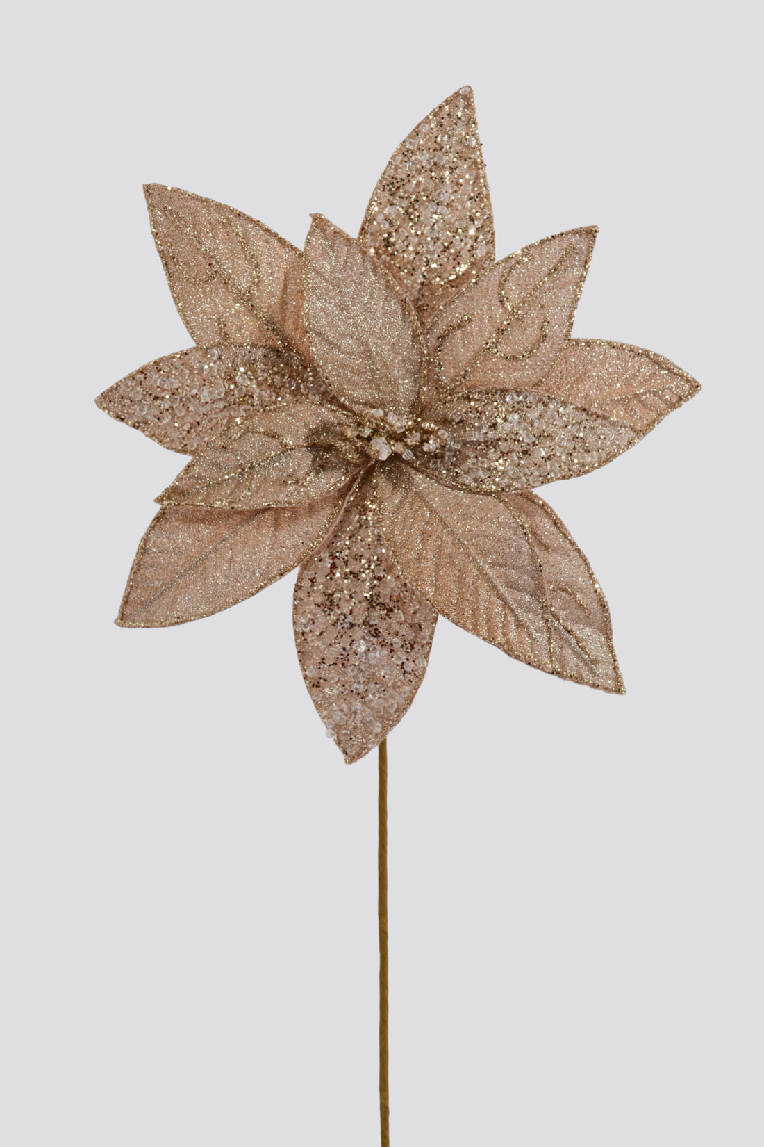 23.5" Poinsettia Stem Champagne