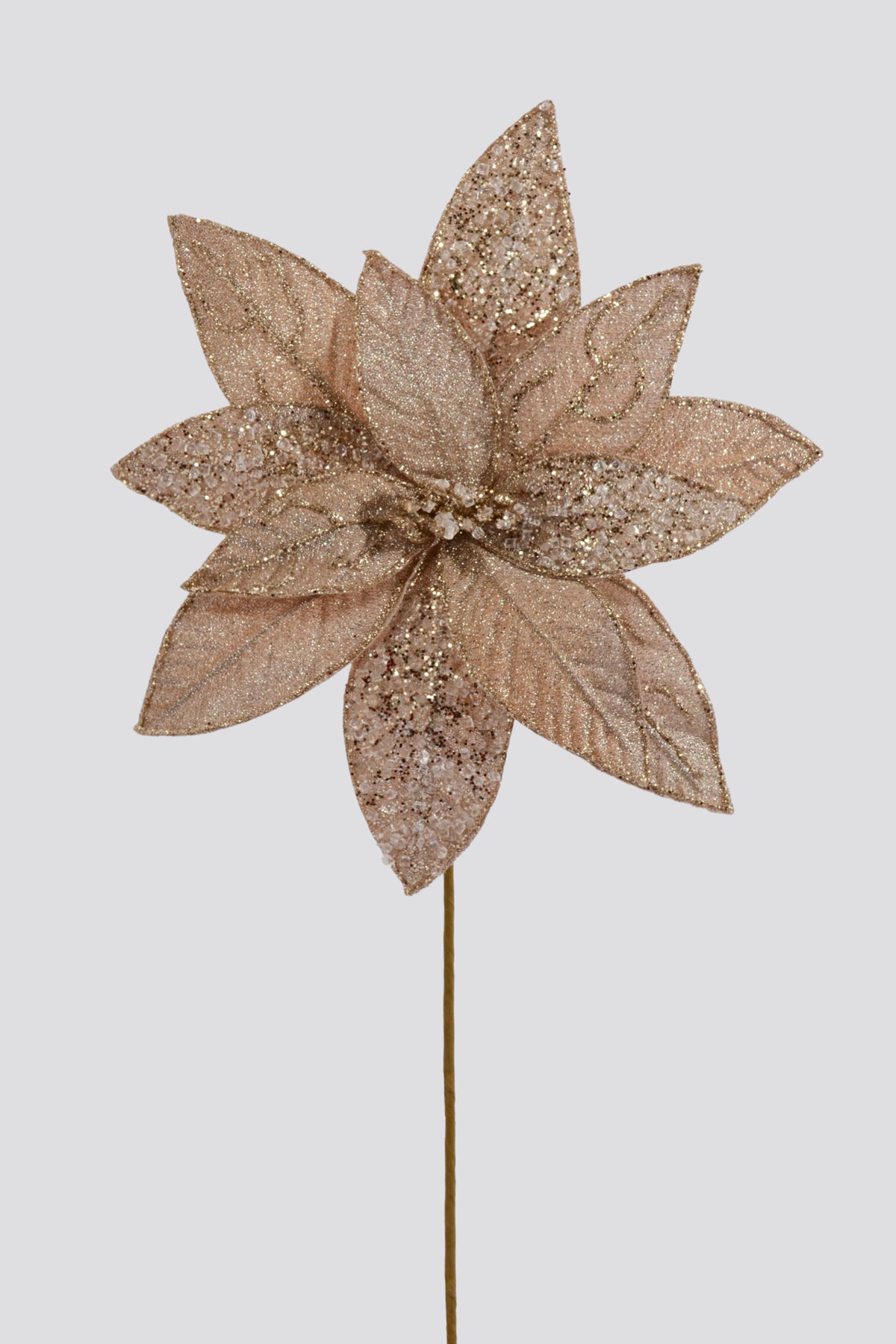23.5" Poinsettia Stem Champagne