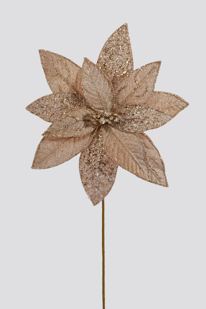 23.5" Poinsettia Stem Champagne