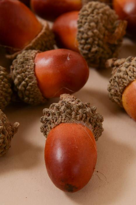 1" Acorn W/natural Top Light Brown Pkg/50