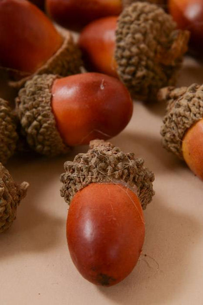 1" Acorn W/natural Top Light Brown Pkg/50