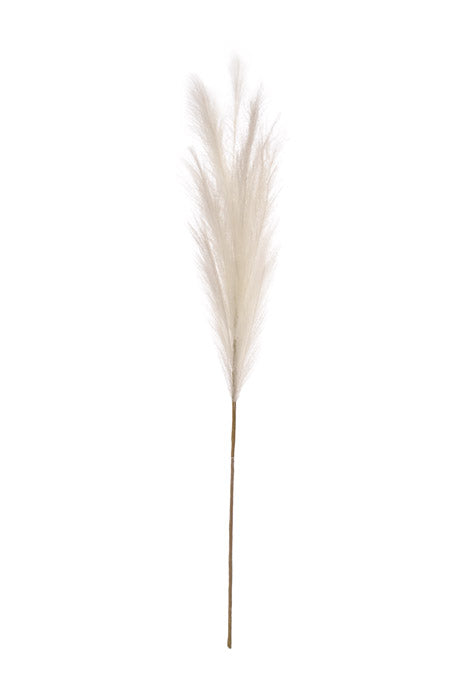 48" Pampas Grass Cream
