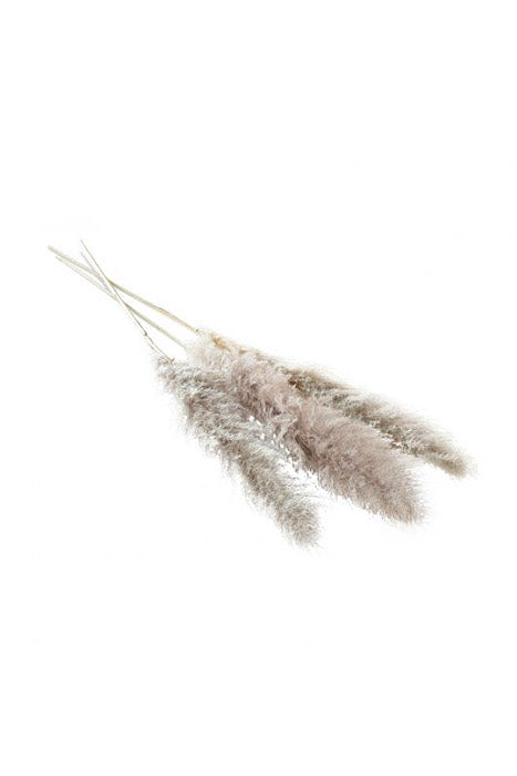 55"-62" Pampas Grass Grey/Brown Pkg-3