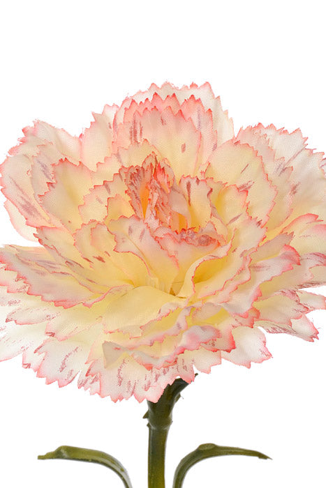 25.5" Silk Carnation Spray Blush