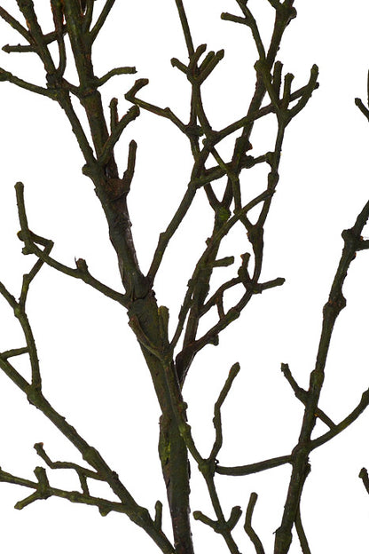 51" Twing Spray Green