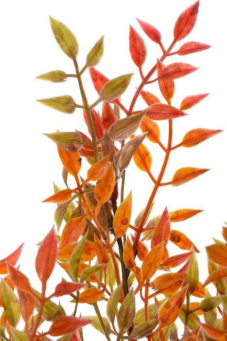 18&quot; Plastic Smilax Bush Green/Orange