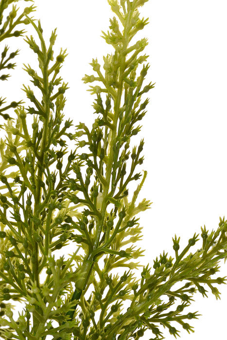 20&quot; Plastic Sorghum Bush Green