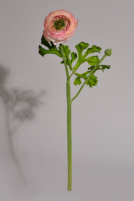 13&quot; Silk Ranunculus Spray Pink/Cream