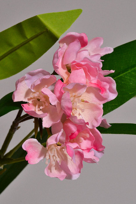 24" Silk Wild Stock Spray Pink