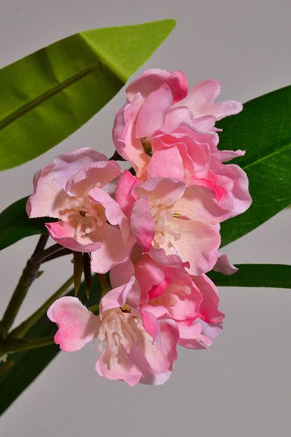 24" Silk Wild Stock Spray Pink