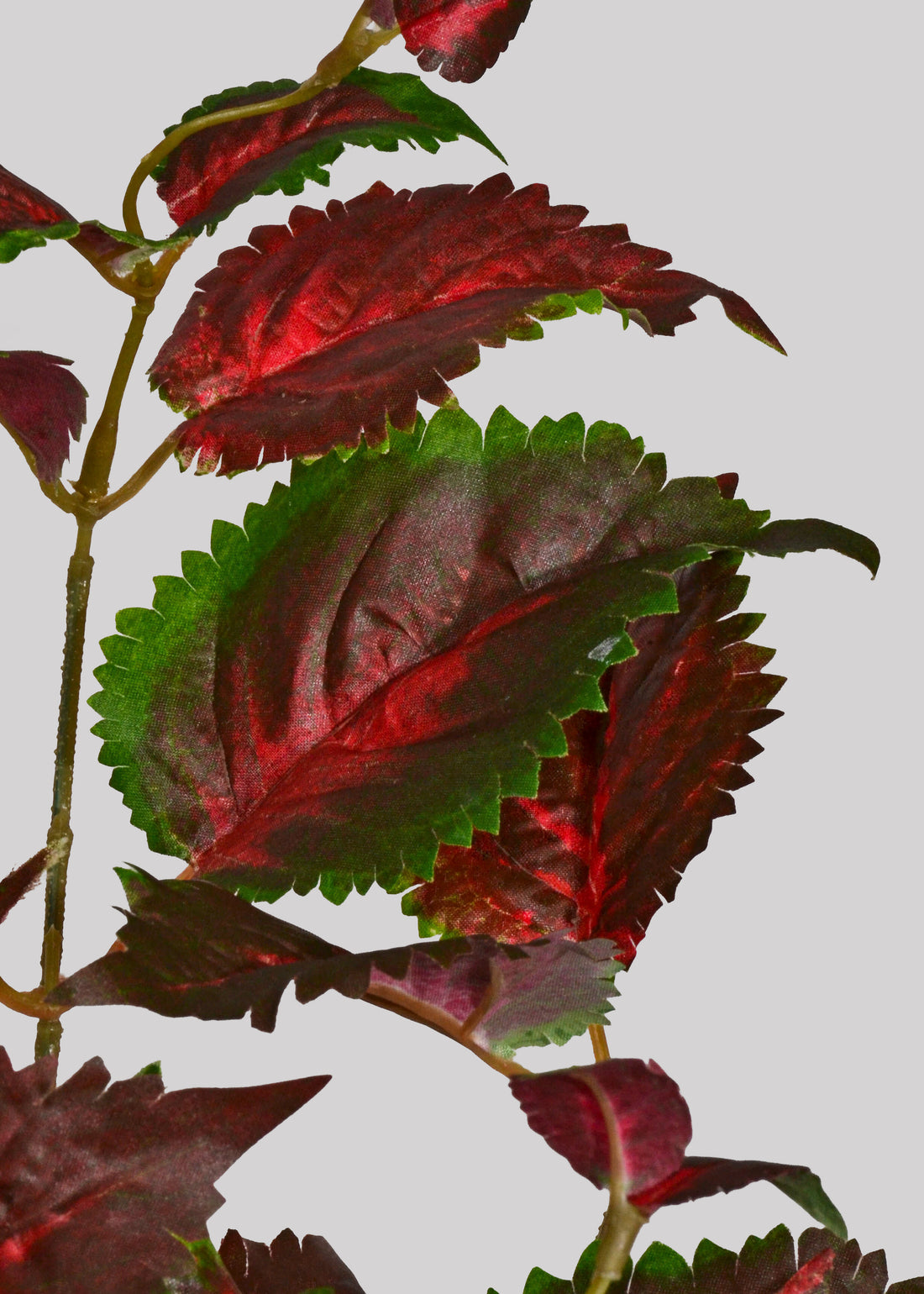 23" Artificial Protected Coleus Hanging Bush Burgundy/Green