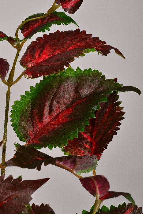 23&quot; Artificial Protected Coleus Hanging Bush Burgundy/Green