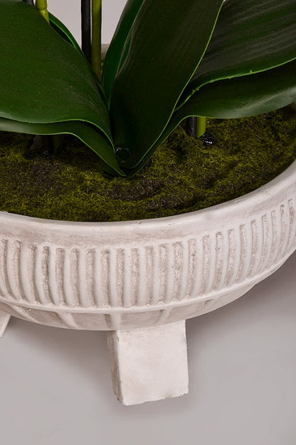 22" Silk Phalaenopsis Plant With Ceramic Pot Orchid