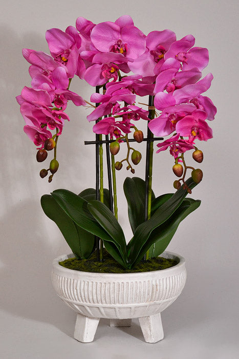 22" Silk Phalaenopsis Plant With Ceramic Pot Orchid