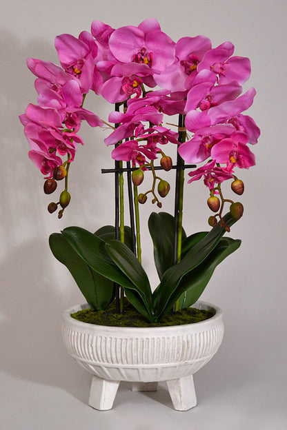 22" Silk Phalaenopsis Plant With Ceramic Pot Orchid