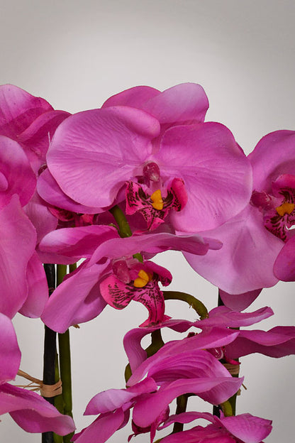 22" Silk Phalaenopsis Plant With Ceramic Pot Orchid