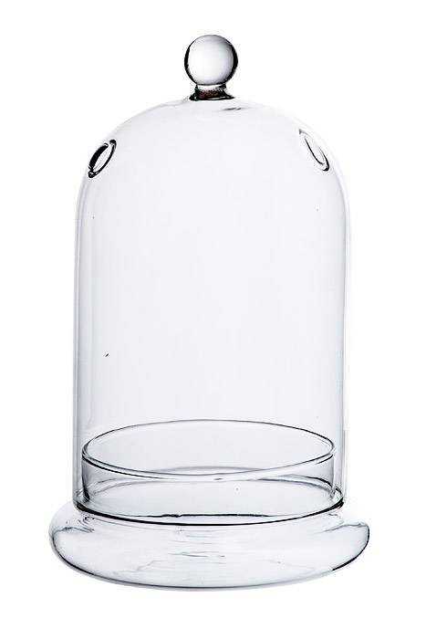 7.5" Glass Dome W/base Clear