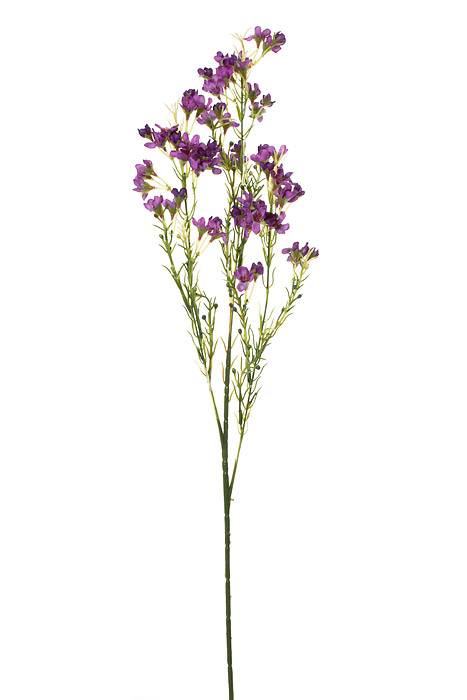 27&quot; Silk Waxflower Spray  Purple