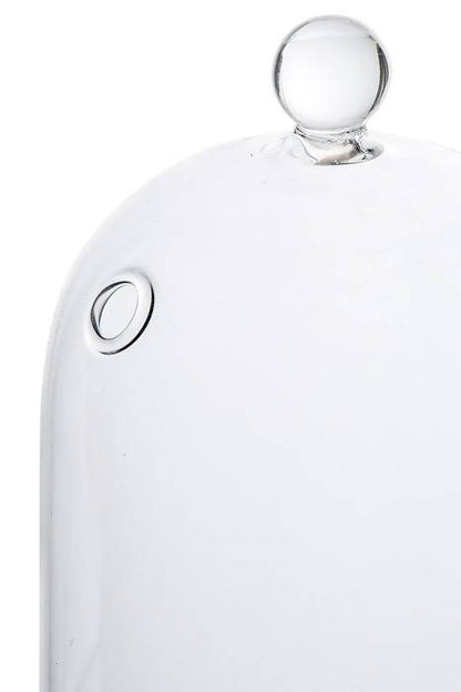 7.5" Glass Dome W/base Clear