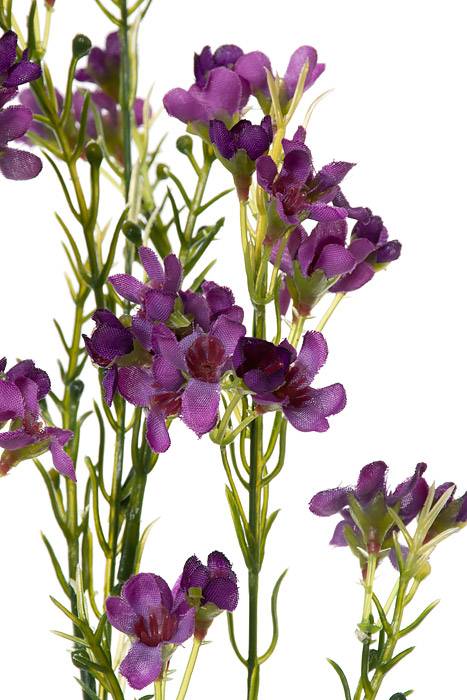 27&quot; Silk Waxflower Spray  Purple