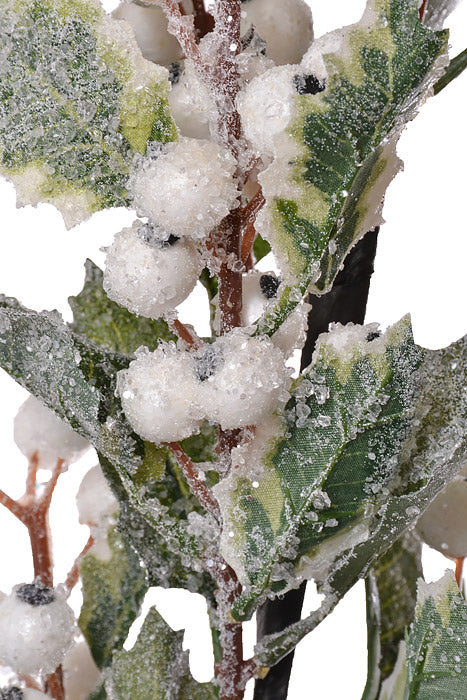 27" Ice Berry Spray White