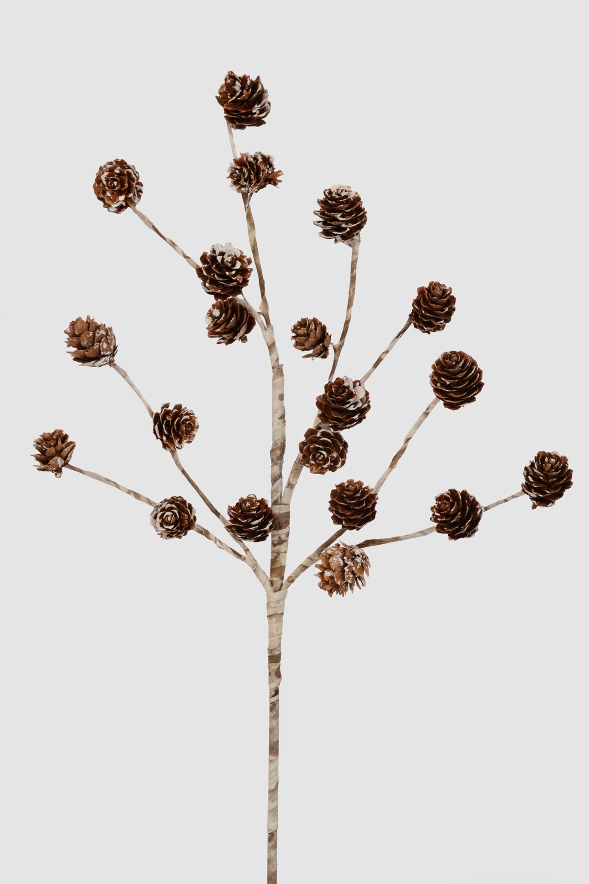 15.5" Frosted Mini Pine Cone Spray Natural Frost