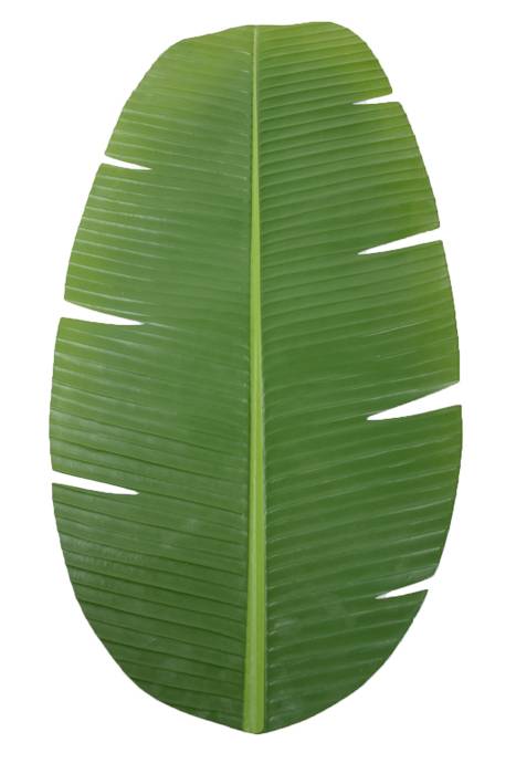 29" Banana Leaf Table Runner Green
