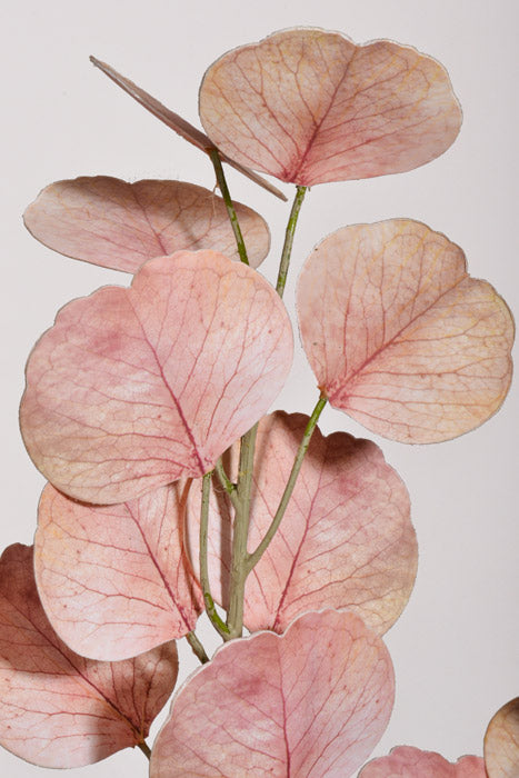 24" Real Touch Eucalyptus Pink