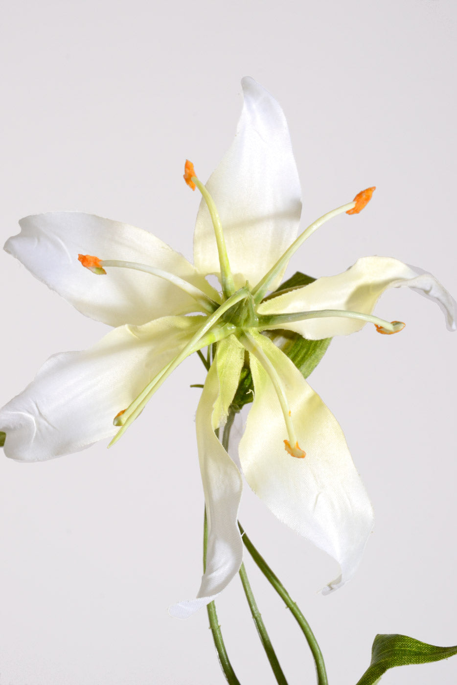 36" Artificial Gloriosa Spray Cream