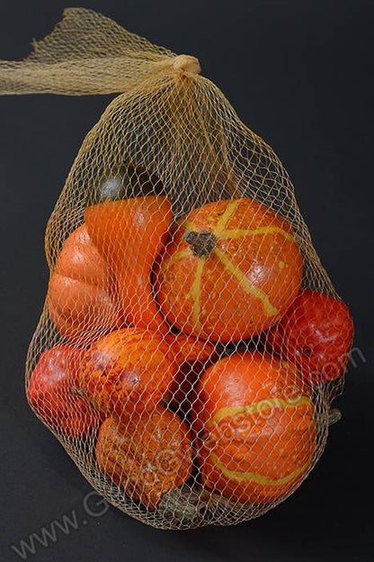 Mixed Pumpkins In Net Orange Set/12