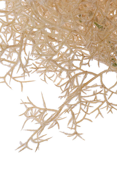 14.5" Flocked Grass Bundle Beige