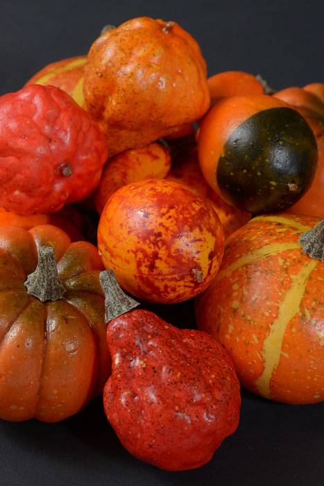 Mixed Pumpkins In Net Orange Set/12