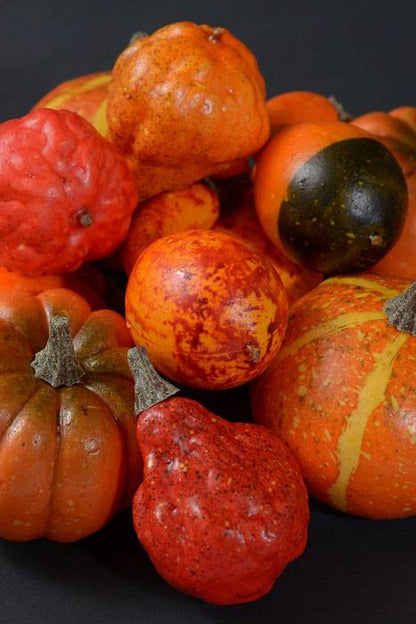 Mixed Pumpkins In Net Orange Set/12