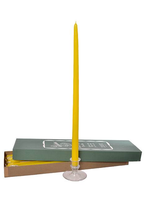 18" Patrician Taper Yellow Box/12