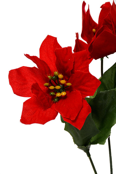 12" Poinsettia Bush Red