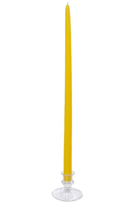 18" Patrician Taper Yellow Box/12