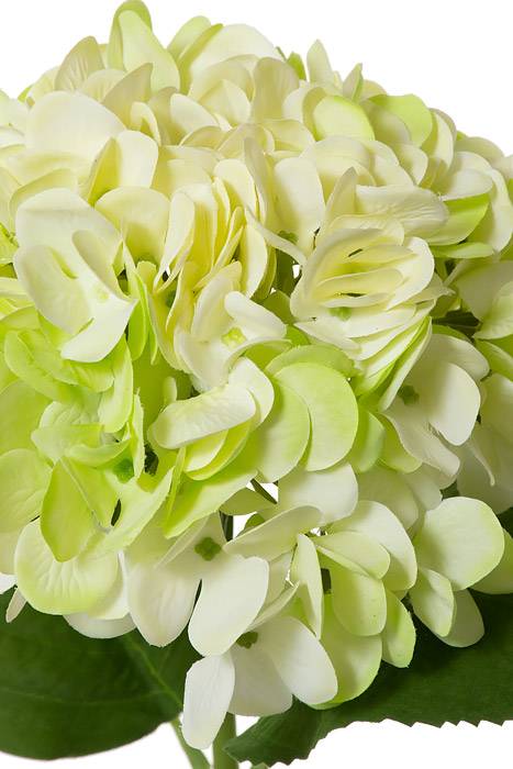 18.5" Silk Hydrangea Bloom W/2 Leaves Green