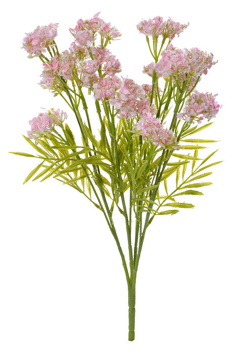 17" Queen Annes Lace Bush Pink