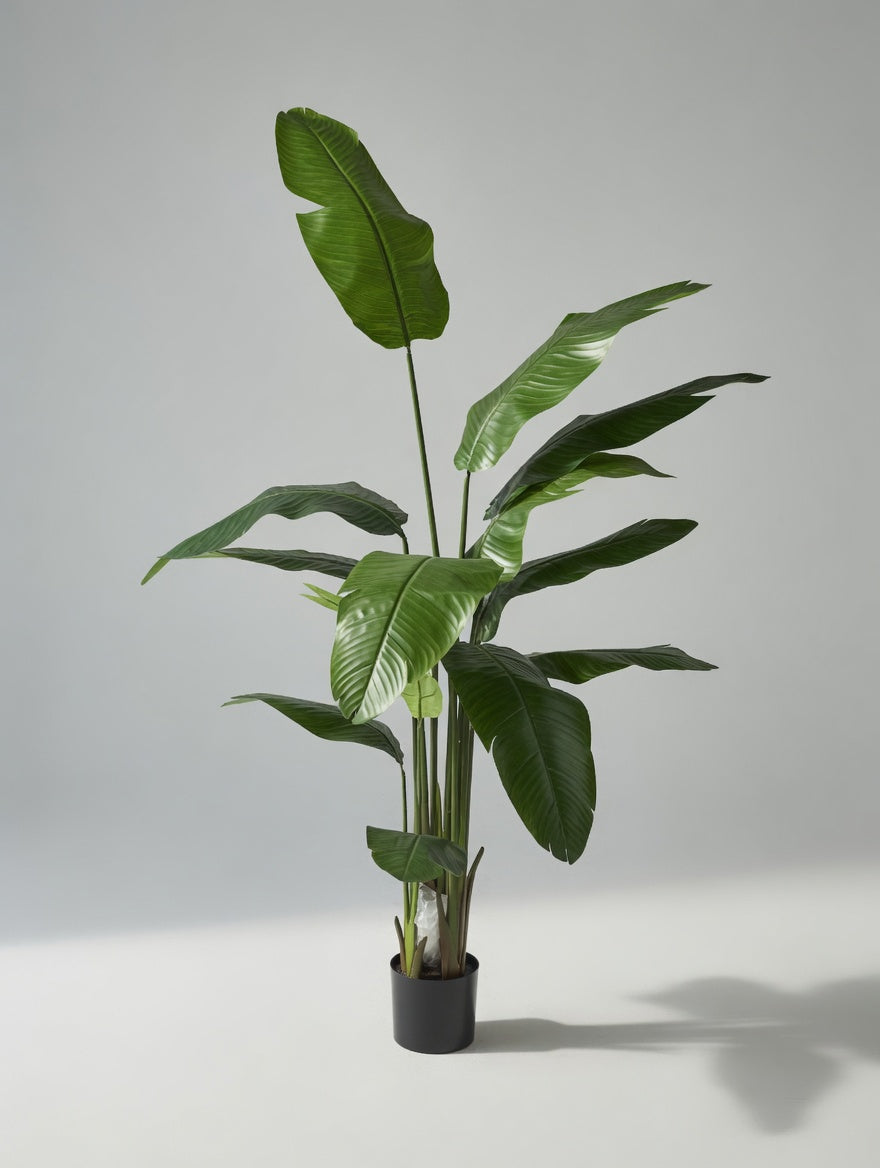 7Ft Artificial Bird Of Paradise Green
