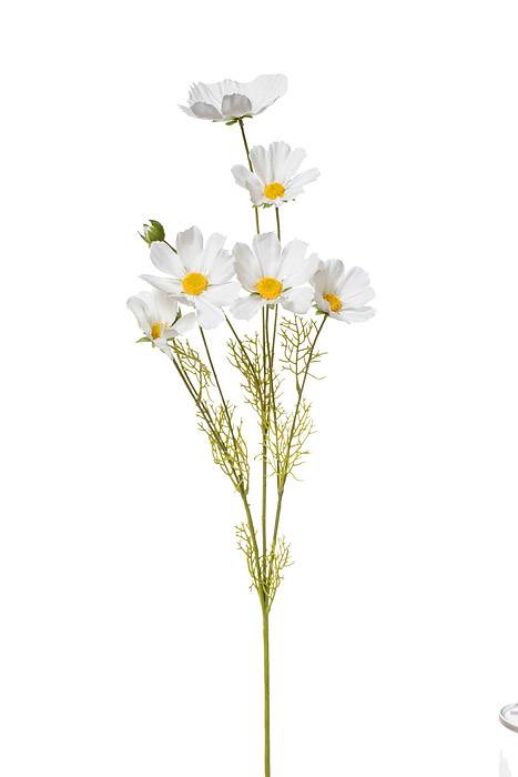 36" Silk Cosmos Spray White